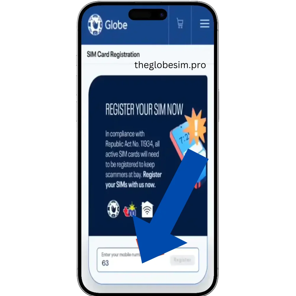 theglobesim.pro 6